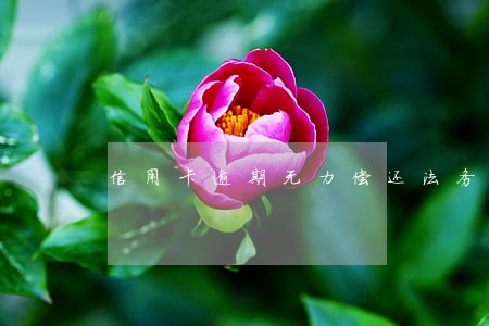 信用卡逾期无力偿还法务部上门 信用卡逾期无力偿还法务部上门