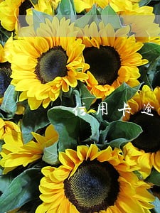 信用卡逾期无力偿还法庭辩护 信用卡逾期无力偿还法庭辩护