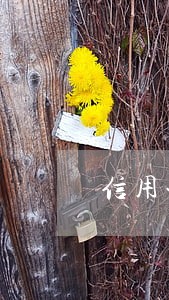 信用卡逾期无力偿还电话不接 信用卡逾期无力偿还电话不接
