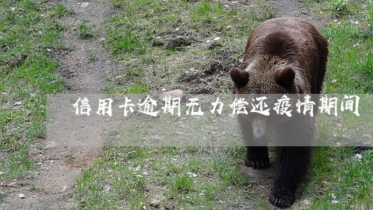 信用卡逾期无力偿还疫情期间