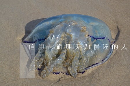 信用卡逾期无力偿还的人有多少