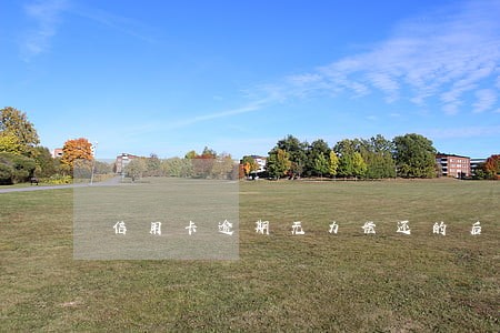 信用卡逾期无力偿还的后果