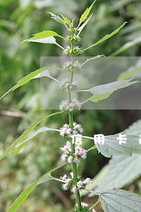 信用卡逾期无力偿还的处理方法 信用卡逾期无力偿还的处理方法