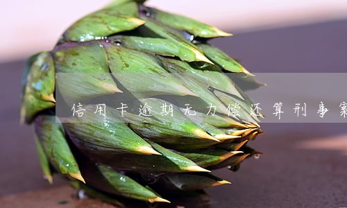 信用卡逾期无力偿还算刑事案件么