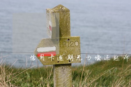 信用卡逾期无力偿还起诉 信用卡逾期无力偿还起诉