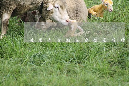 信用卡逾期无力偿还银行协商 信用卡逾期无力偿还银行协商