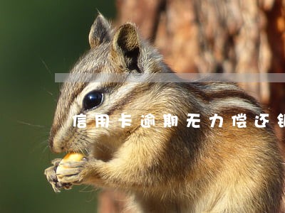 信用卡逾期无力偿还银行要求