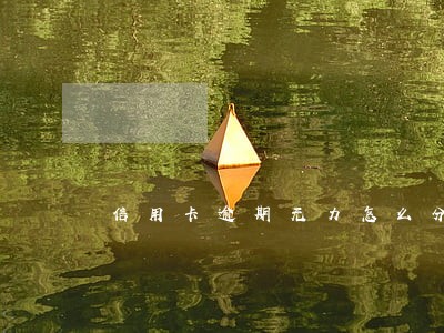 信用卡逾期无力怎么分期 信用卡逾期无力怎么分期