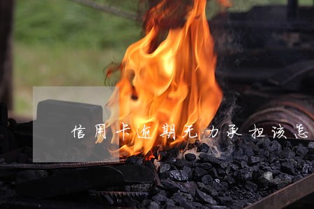 信用卡逾期无力承担该怎么办 信用卡逾期无力承担该怎么办