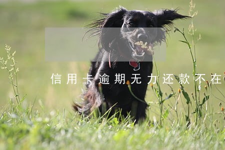 信用卡逾期无力还款不在乎征信了 信用卡逾期无力还款不在乎征信了