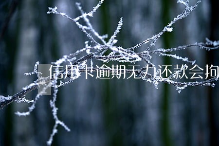 信用卡逾期无力还款会拘留吗 信用卡逾期无力还款会拘留吗