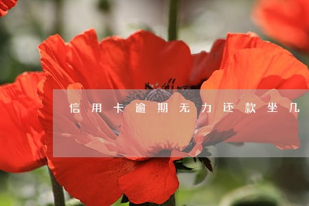 信用卡逾期无力还款坐几年牢 信用卡逾期无力还款坐几年牢