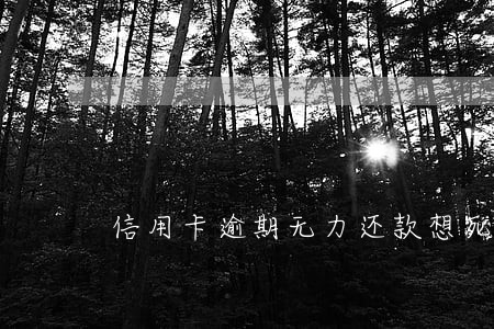 信用卡逾期无力还款想死了 信用卡逾期无力还款想死了