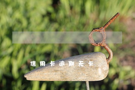 信用卡逾期无卡 信用卡逾期无卡