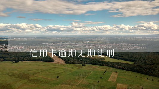 信用卡逾期无期徒刑