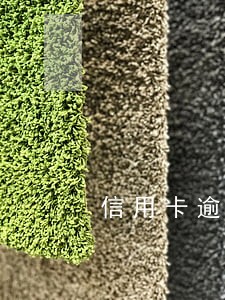 信用卡逾期无法一次性还款
