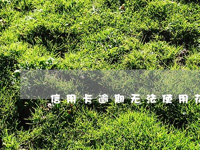 信用卡逾期无法使用花呗额度 信用卡逾期无法使用花呗额度
