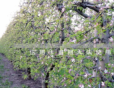 信用卡逾期无法使用还清后消卡 信用卡逾期无法使用还清后消卡