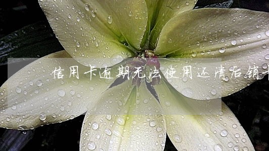 信用卡逾期无法使用还清后销卡 信用卡逾期无法使用还清后销卡