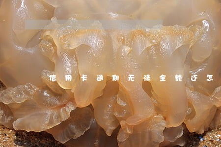 信用卡逾期无法全额还怎么办 信用卡逾期无法全额还怎么办