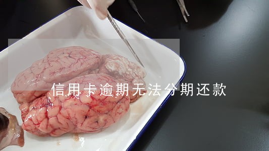 信用卡逾期无法分期还款 信用卡逾期无法分期还款