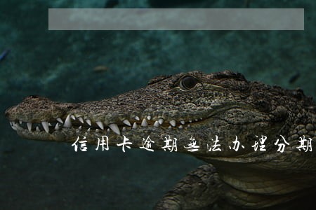 信用卡逾期无法办理分期还款 信用卡逾期无法办理分期还款