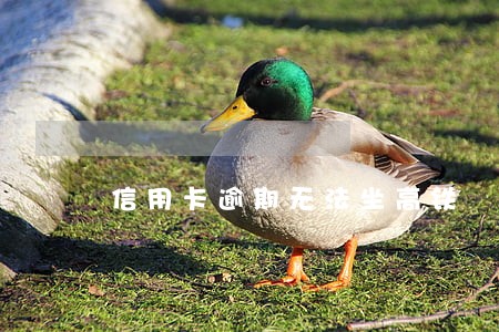 信用卡逾期无法坐高铁