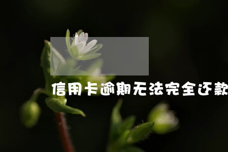 信用卡逾期无法完全还款 信用卡逾期无法完全还款
