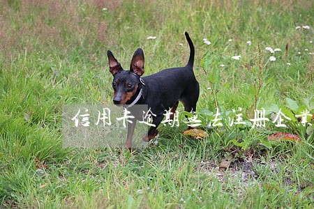 信用卡逾期无法注册企业