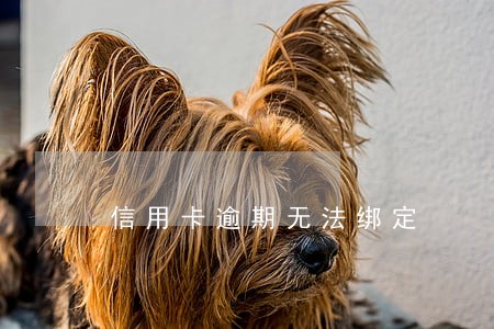 信用卡逾期无法绑定 信用卡逾期无法绑定