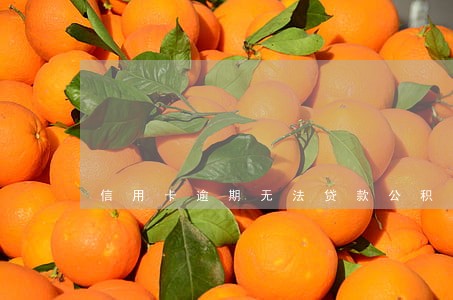 信用卡逾期无法贷款公积金贷款 信用卡逾期无法贷款公积金贷款