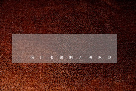 信用卡逾期无法返款