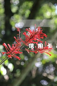 信用卡逾期无法还怎么办 信用卡逾期无法还怎么办