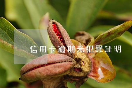 信用卡逾期无犯罪证明 信用卡逾期无犯罪证明