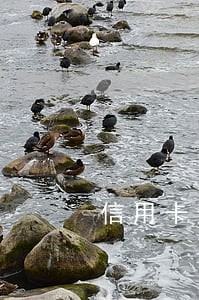 信用卡逾期无经济能力 信用卡逾期无经济能力