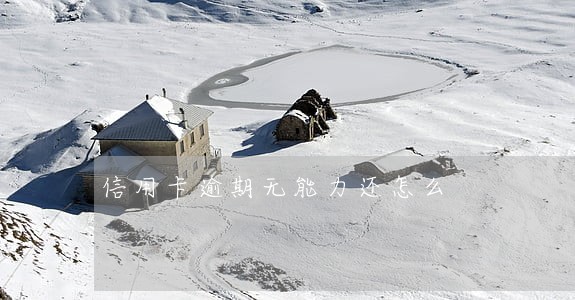 信用卡逾期无能力还怎么 信用卡逾期无能力还怎么