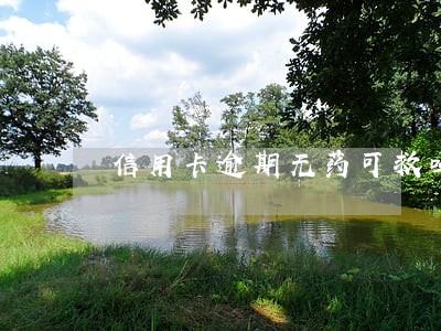 信用卡逾期无药可救吗 信用卡逾期无药可救吗