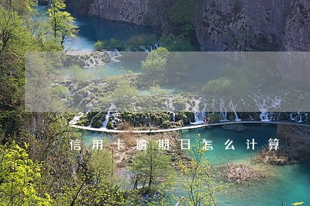 信用卡逾期日怎么计算 信用卡逾期日怎么计算