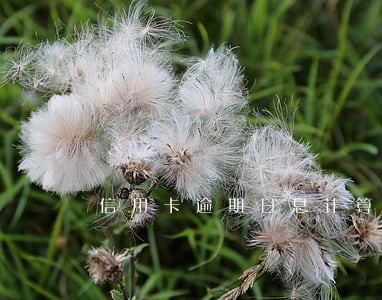 信用卡逾期日息计算 信用卡逾期日息计算