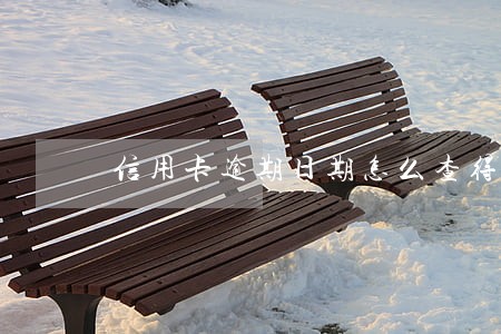 信用卡逾期日期怎么查得到 信用卡逾期日期怎么查得到