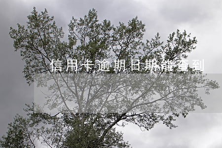 信用卡逾期日期能查到 信用卡逾期日期能查到