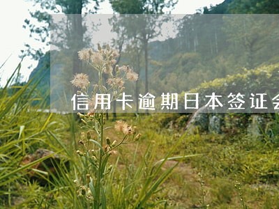 信用卡逾期日本签证会被拒吗