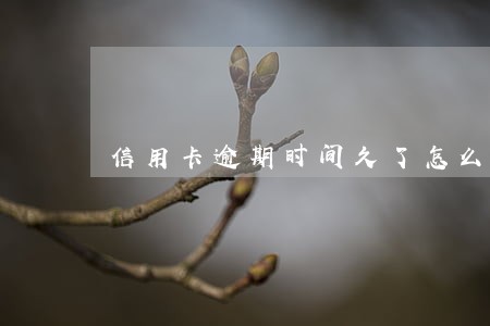 信用卡逾期时间久了怎么办 信用卡逾期时间久了怎么办