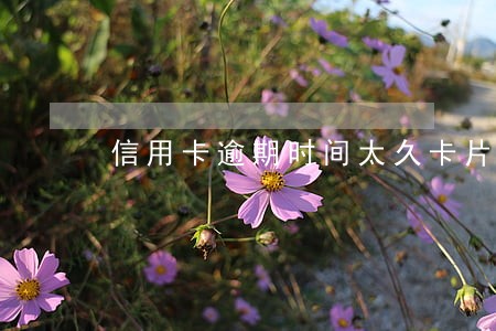 信用卡逾期时间太久卡片异常 信用卡逾期时间太久卡片异常
