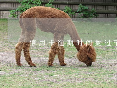 信用卡逾期时间抛过节假日吗