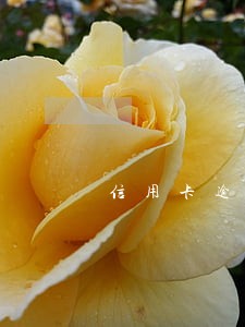 信用卡逾期时间是如何计算的 信用卡逾期时间是如何计算的