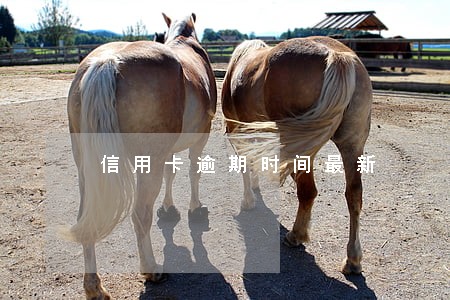 信用卡逾期时间最新 信用卡逾期时间最新