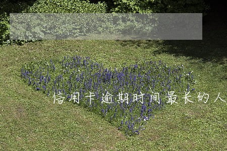 信用卡逾期时间最长的人 信用卡逾期时间最长的人