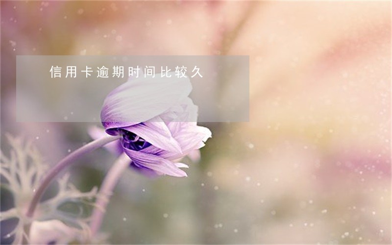 信用卡逾期时间比较久 信用卡逾期时间比较久