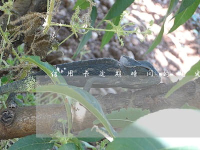 信用卡逾期时间的规定 信用卡逾期时间的规定